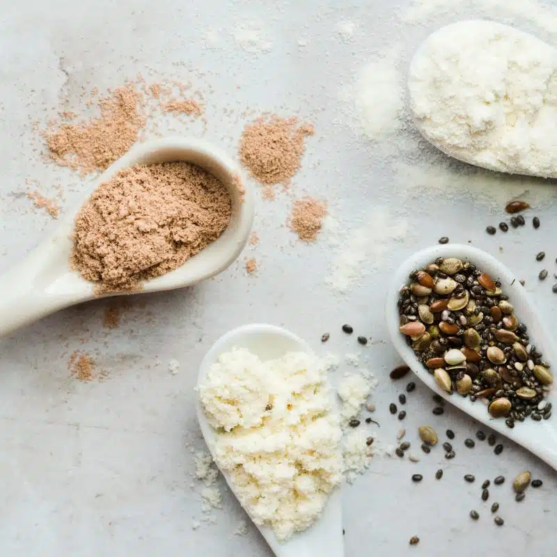 Plant-Based Protein Powders for Health and Fitness